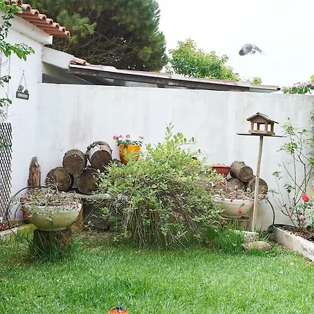 Beija-flor House