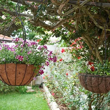 Beija-flor House Prázdninový dům Ribamar (Torres Vedras)