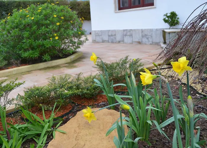 Beija-flor House Semesterbostad