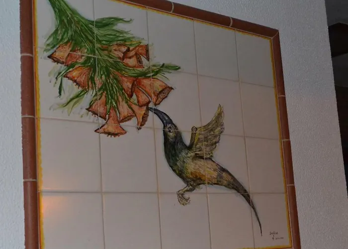 Tatil Evi Beija-flor House *