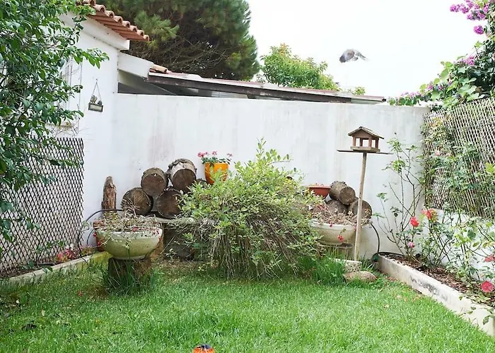 Beija-flor House