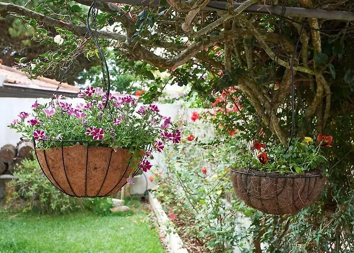Beija-flor House Tatil Evi Ribamar (Torres Vedras)